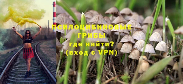 spice Алексин