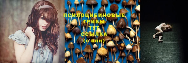 амф Алексеевка