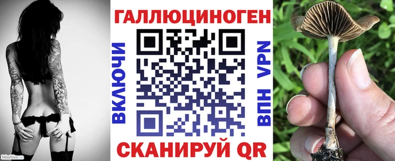 Галлюциногенные грибы Psilocybine cubensis  Кяхта 